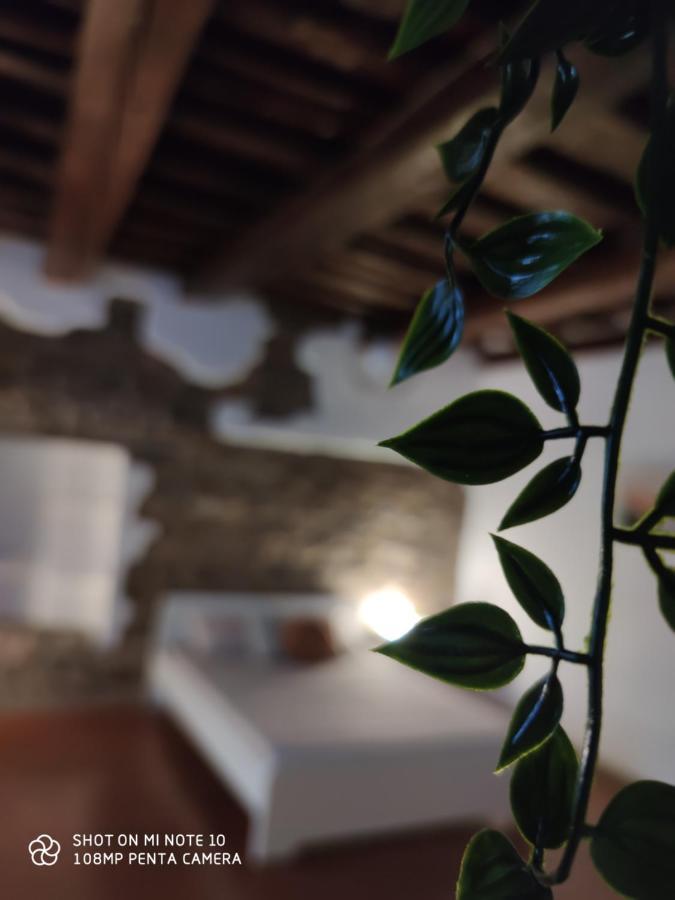 Casa de hóspedes Dante's Dei Cerchi *