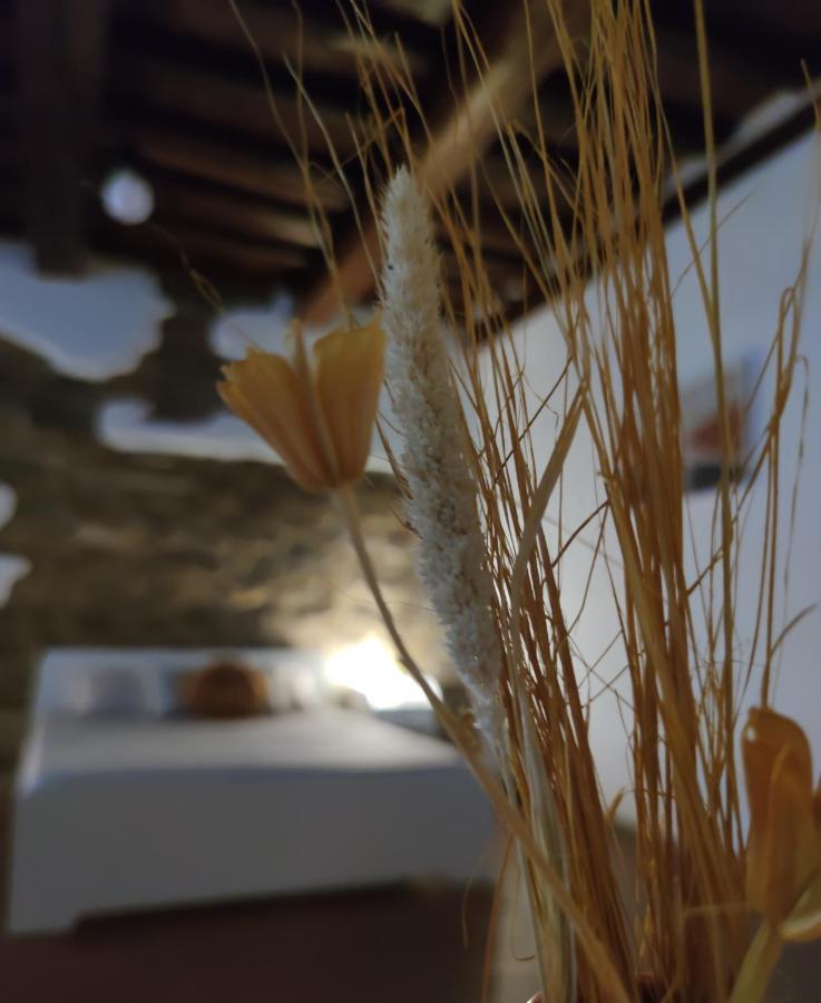 Dante's Dei Cerchi Casa de hóspedes Florença